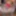 Check My MILF - trashy granny wants black cock