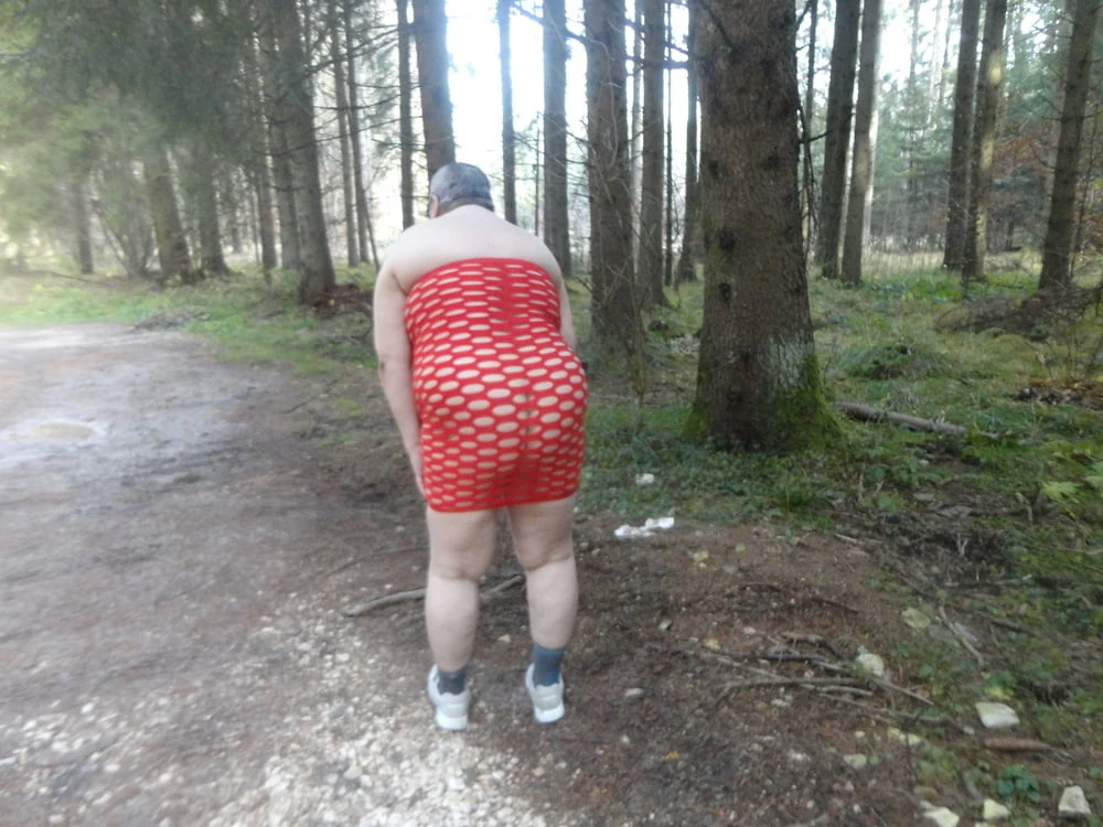 In the wild #4