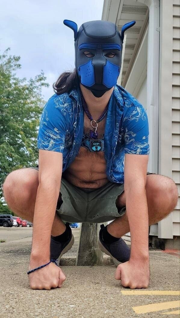 굶주린 강아지 Nyx 무료 사진