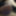Morning wood leaking precum watching gay blowjob vids