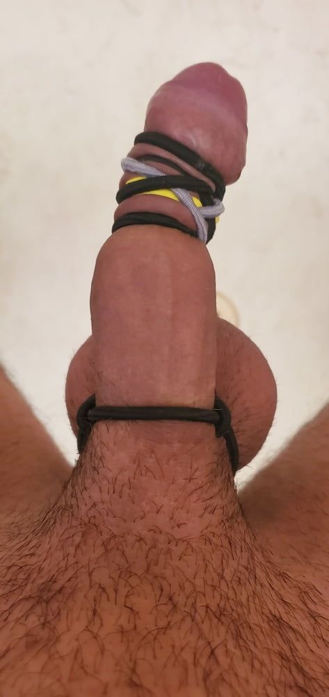 Cock view