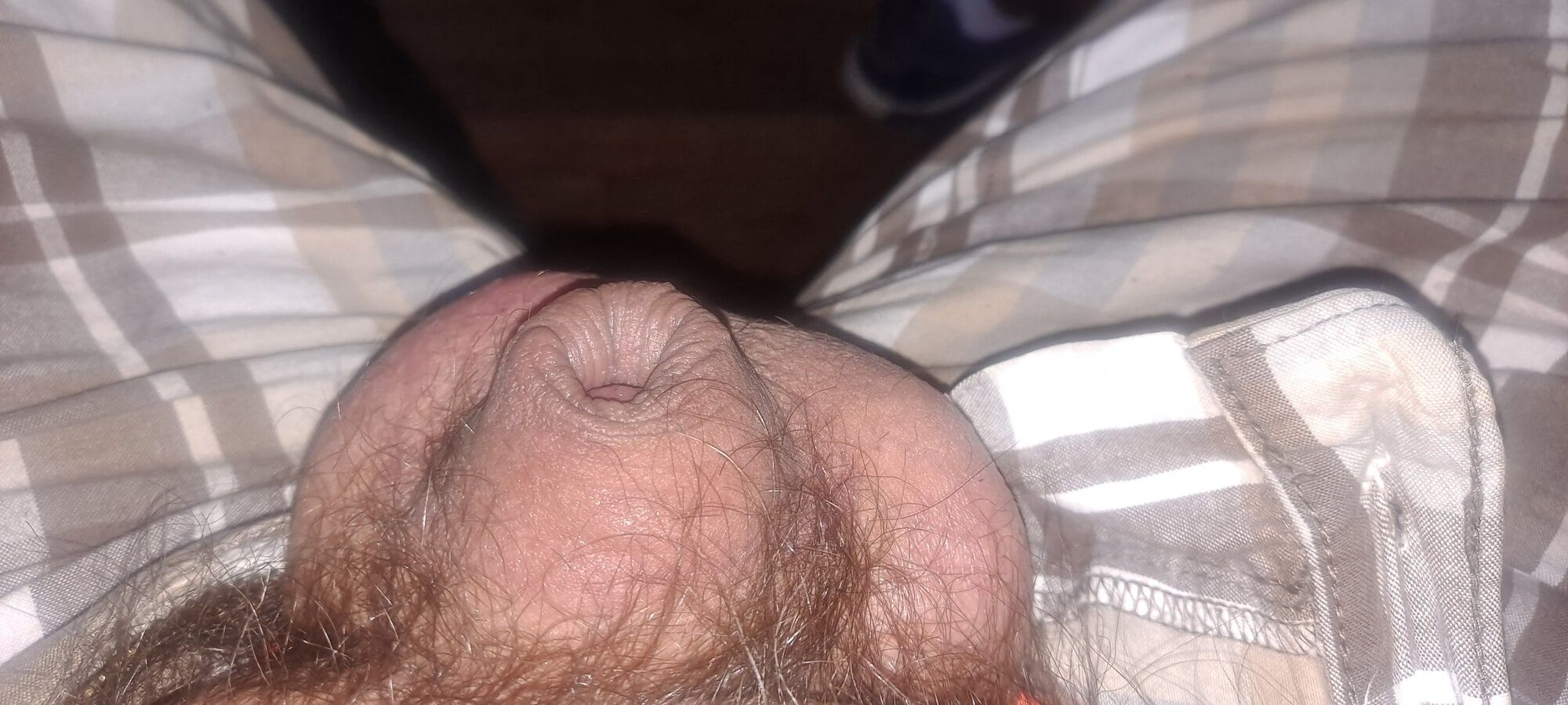 My Small Limp Penis 