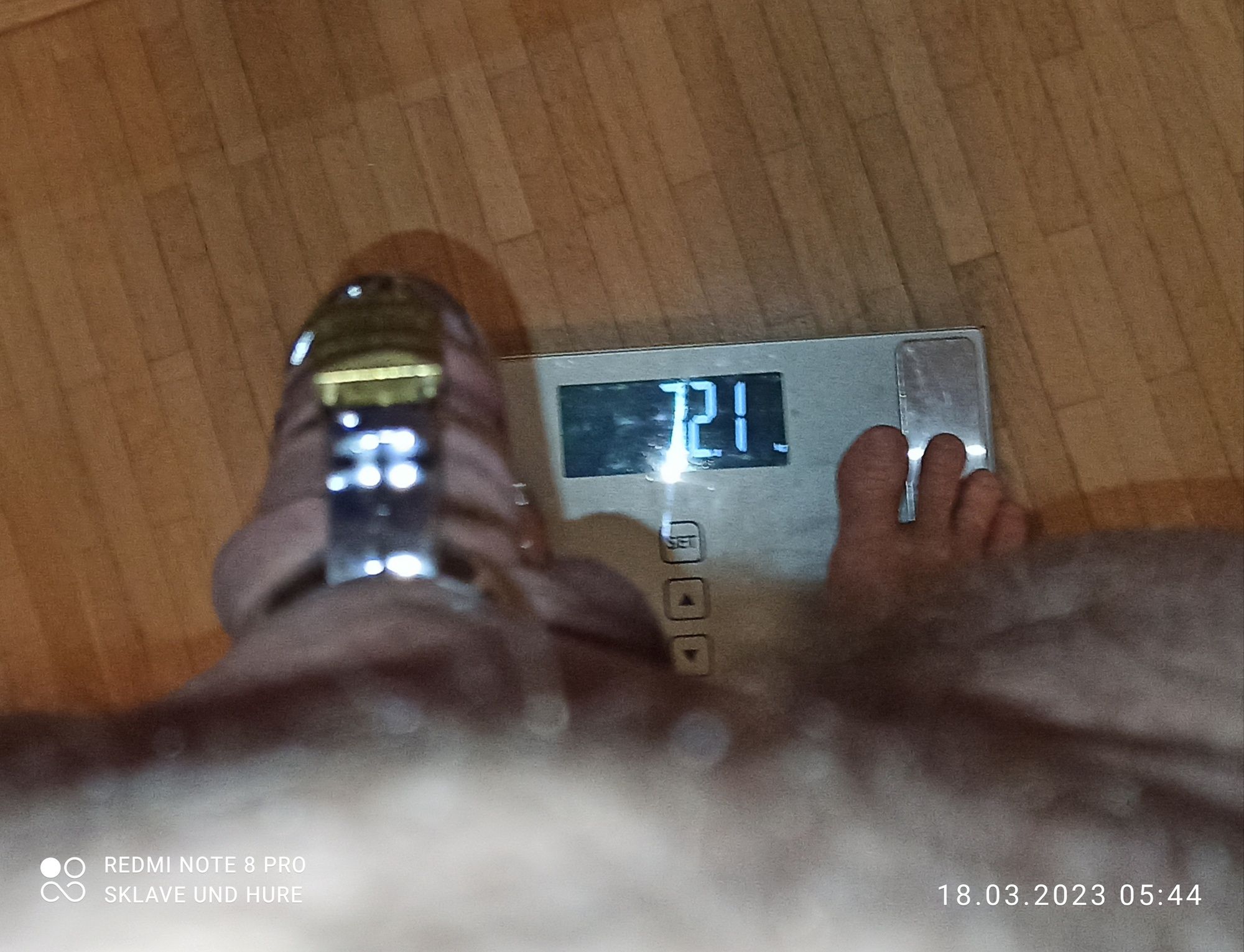 mandatory weighing and cagecheck of 18.03.23 #18