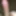 Dick
