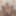Weighing, Cagecheck, plugcheck, September 30, 2023