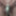 Daily duty of the naked slave April 2nd, 2024 #19