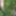 Young wife undresses and walks naked in the forest park #5
