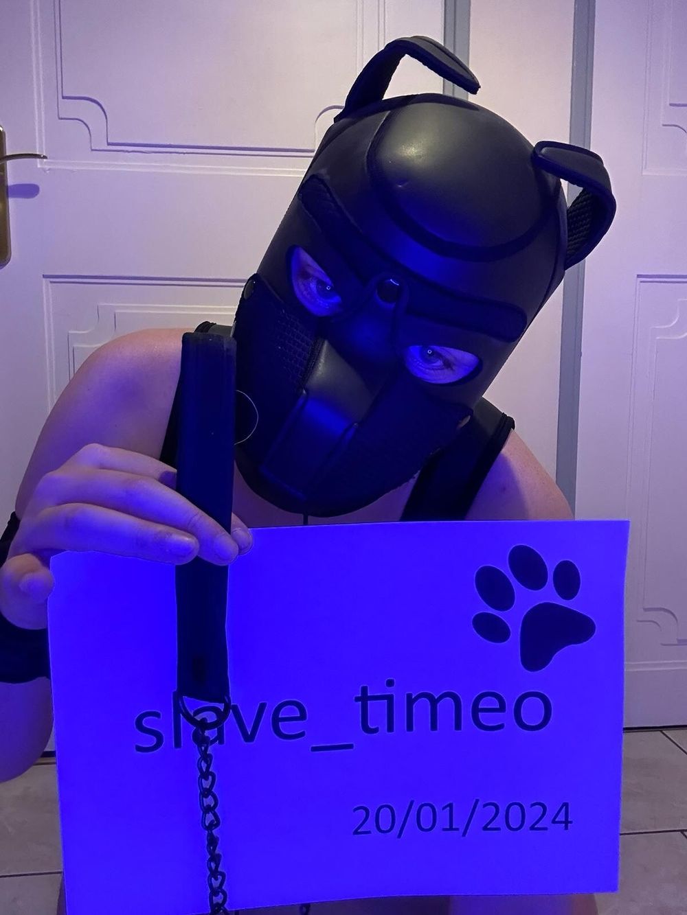 Presentation of slave_timeo (blue shooting) #28