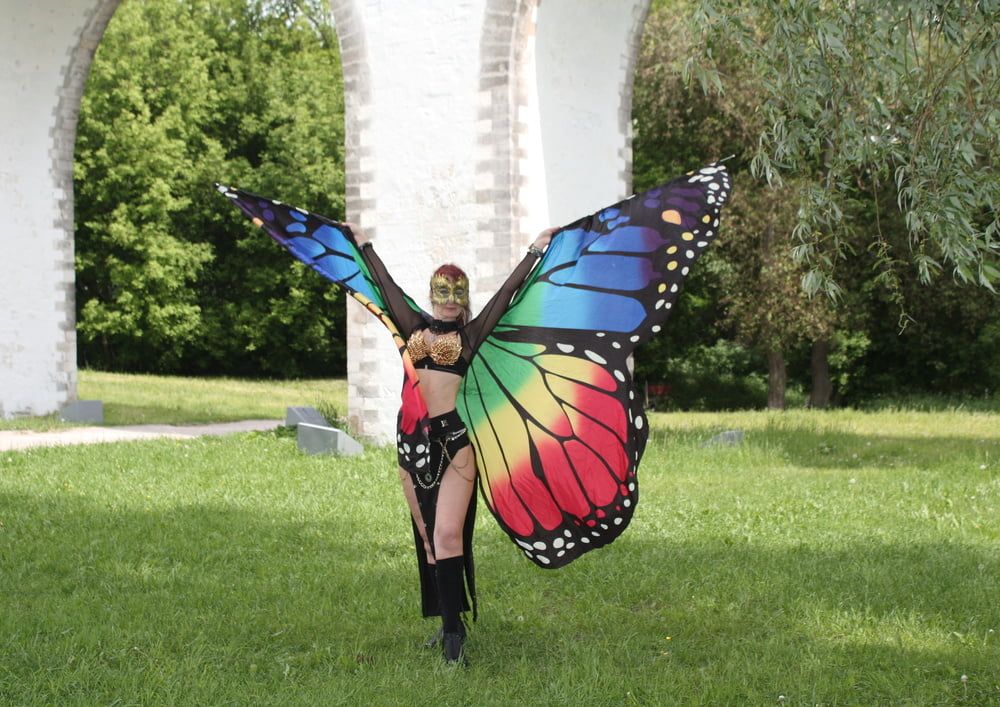 Wings of Butterfly #34