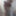Tygra bitch oiled butt plugged small cumcumber,part 1 #25