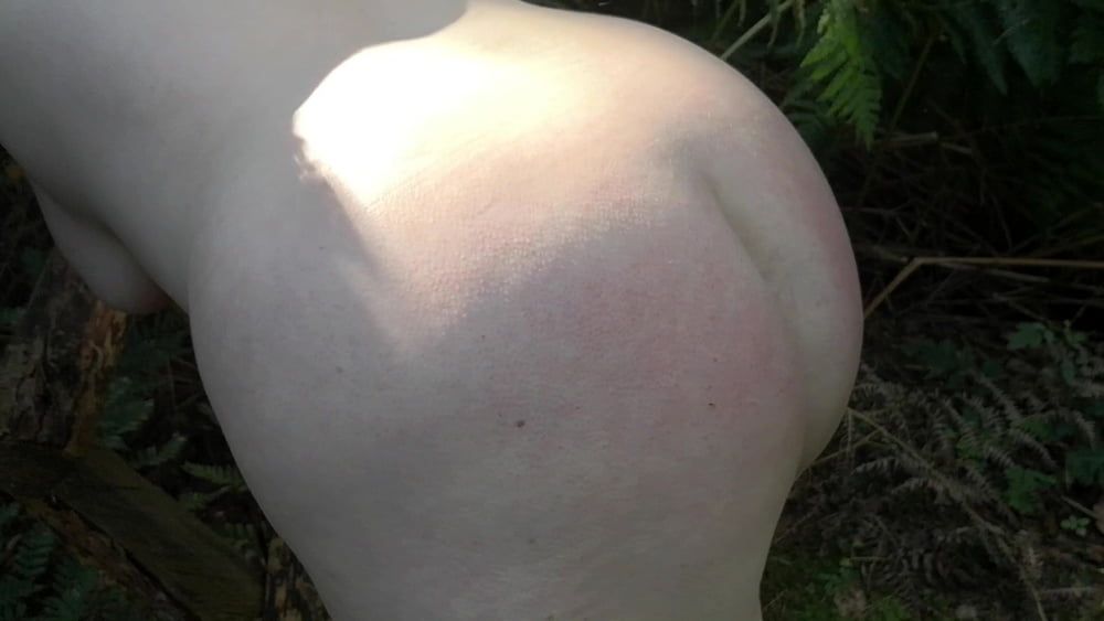 Tit, Ass and Pussy spanking with tree branch #3