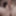 My penis close up