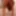 Tygra babe eat the two sides of large cumcumber. #6