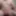 Fat chub ruined cum