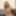 Noa Yonekura :: Wallow In Liberation Day - CARIBBEANCOM #2