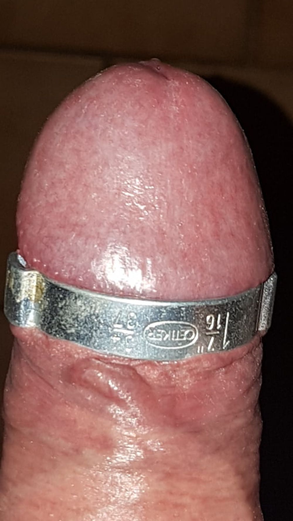 Cock ring