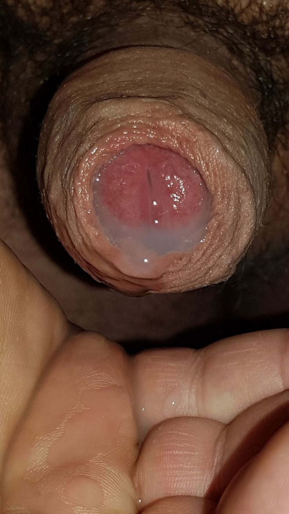 Precum and cum #40