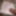 Desi boy pains toilet hand com herself 