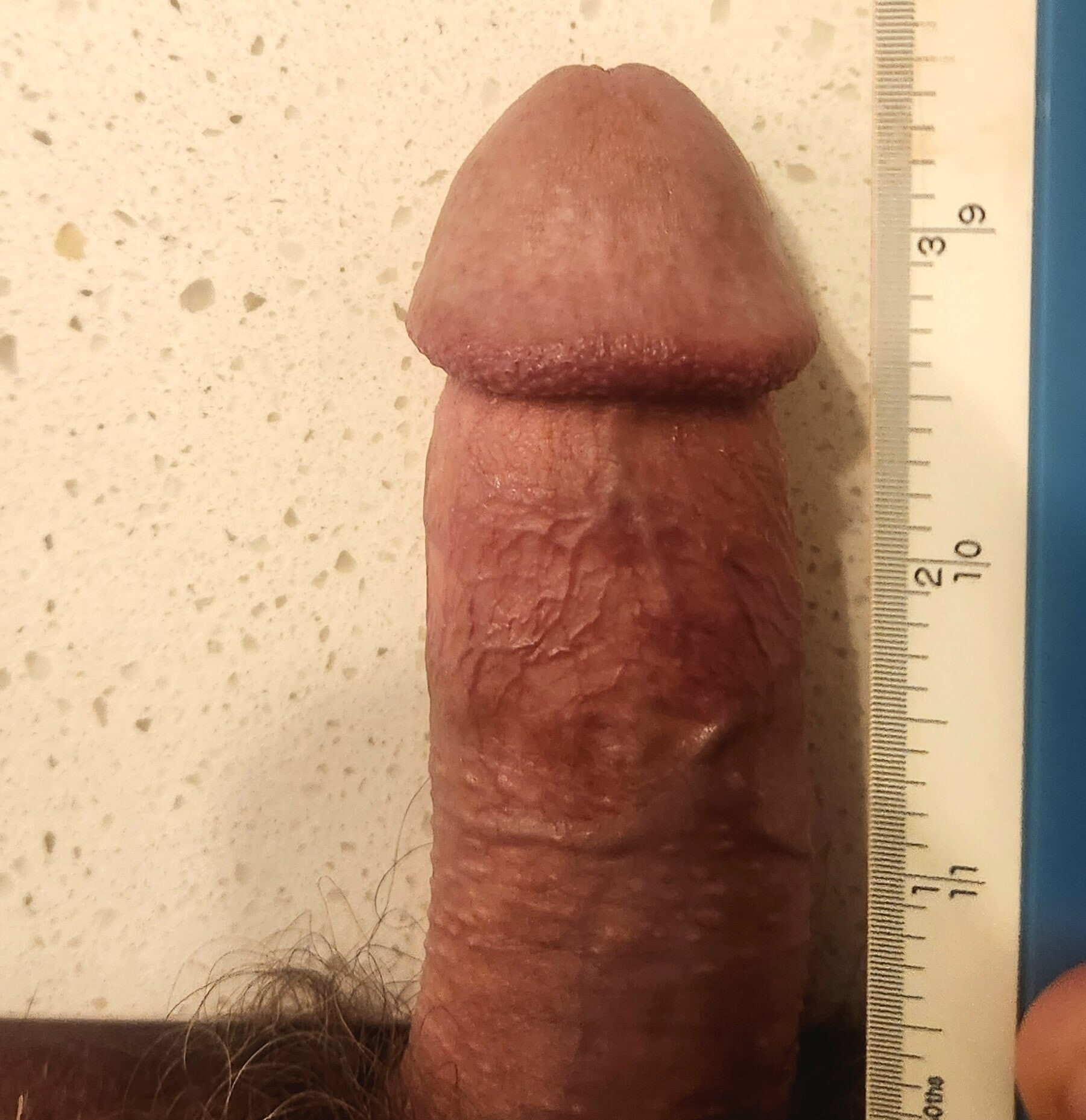 3.5 inch cock