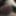 Morning wood leaking precum watching gay blowjob vids