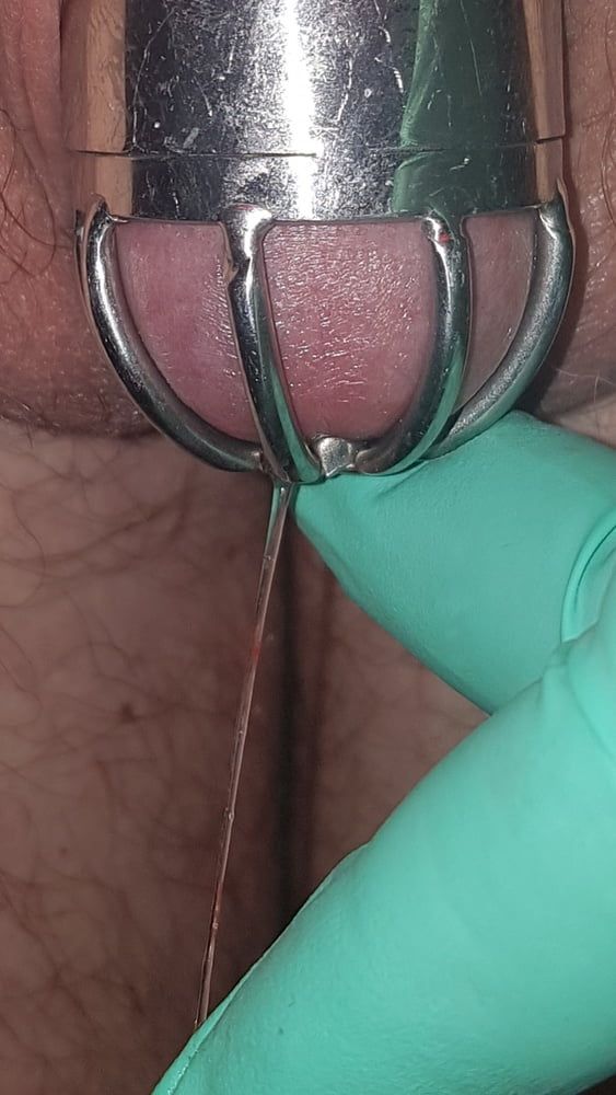 Precum and cum #4