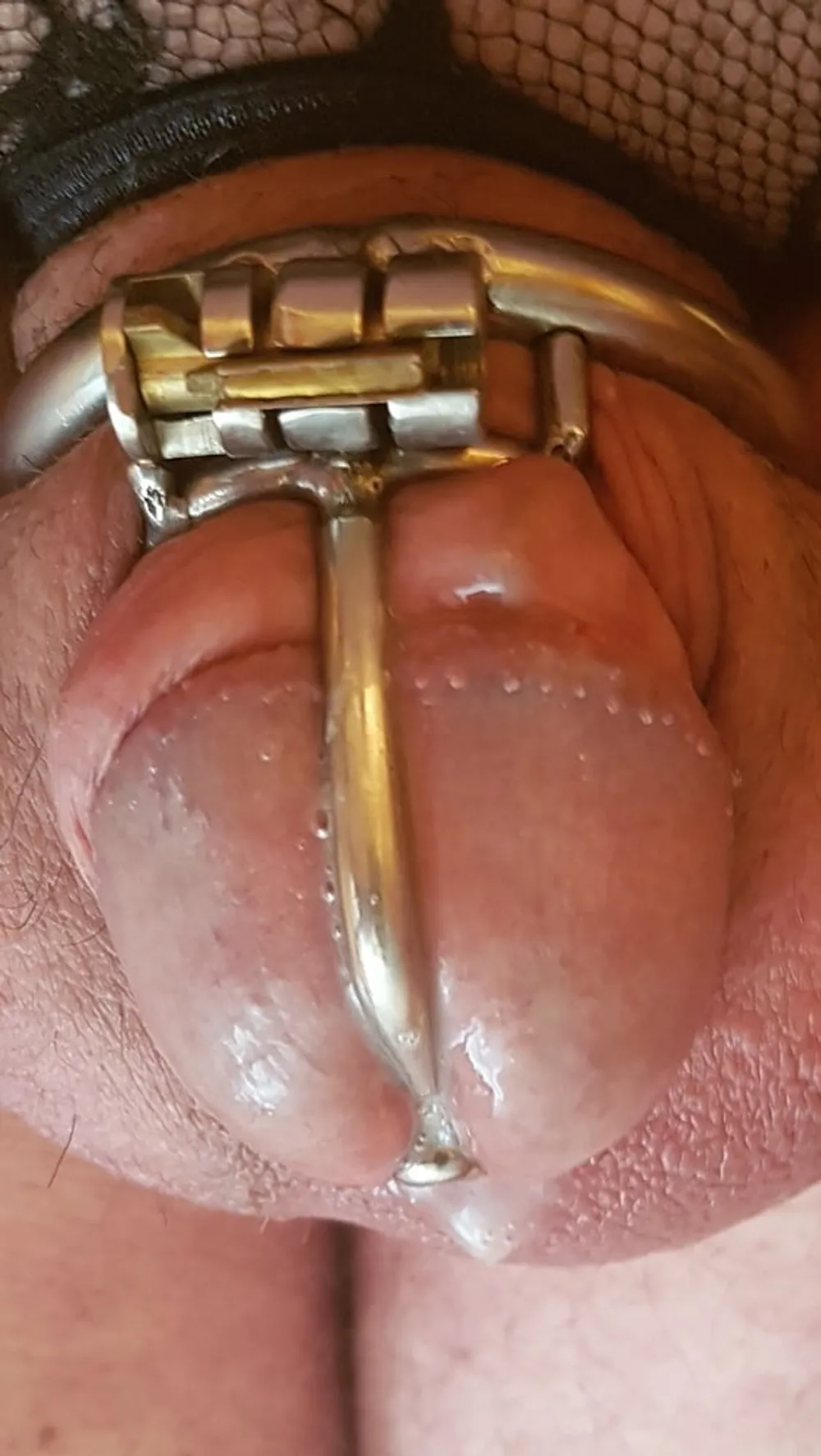 Precum and cum #4