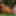 Hot Nessa Devil naked in the paradise garden #14