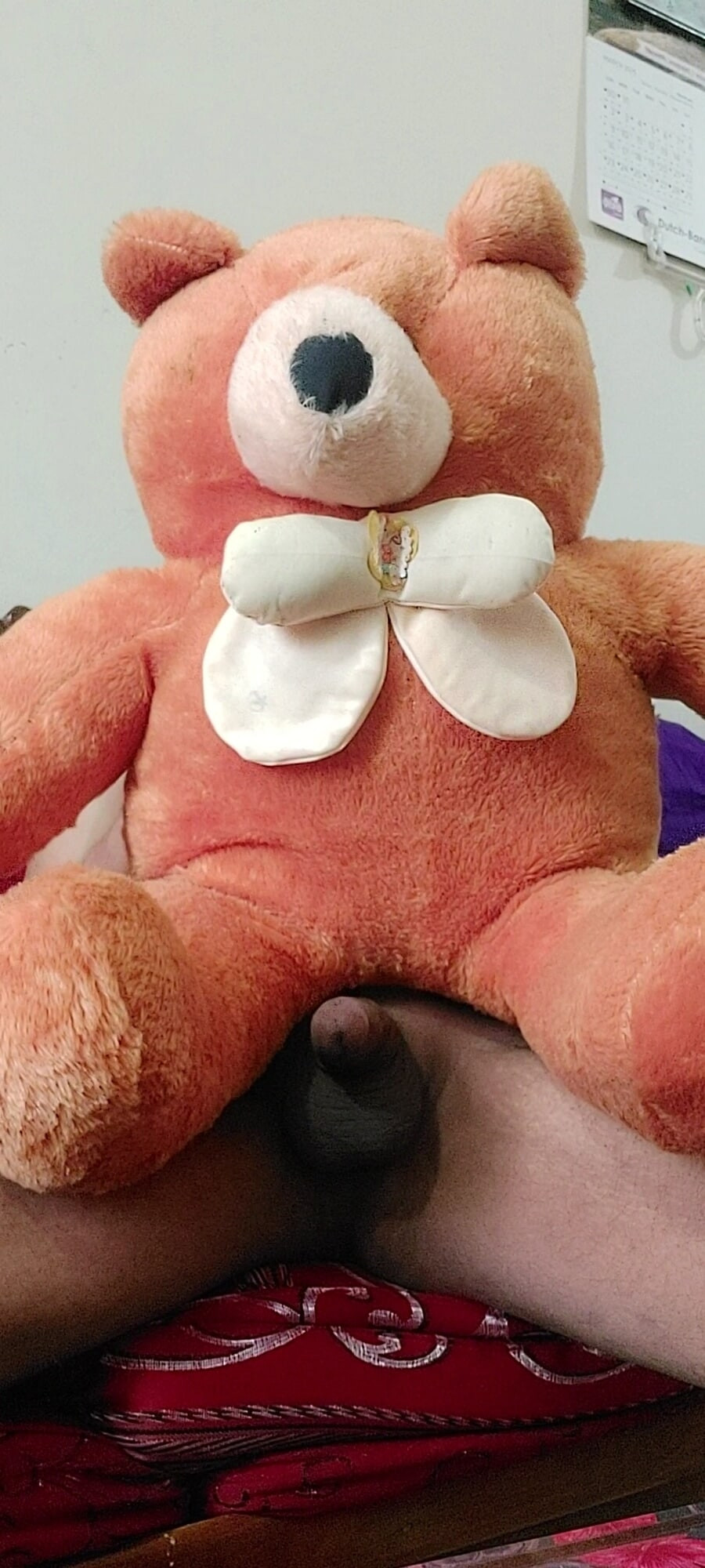 My Teddy bear penis #6