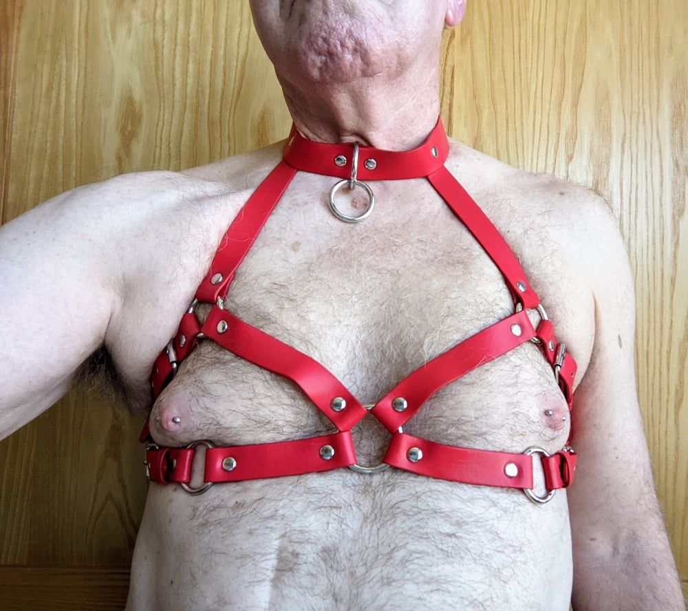 Boob harness #15