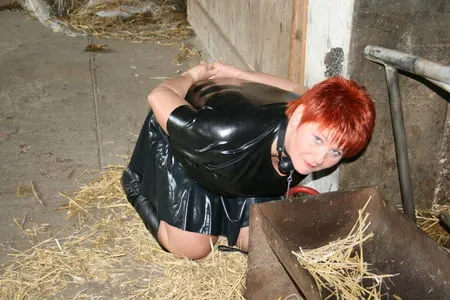 hot images in the cowshed         