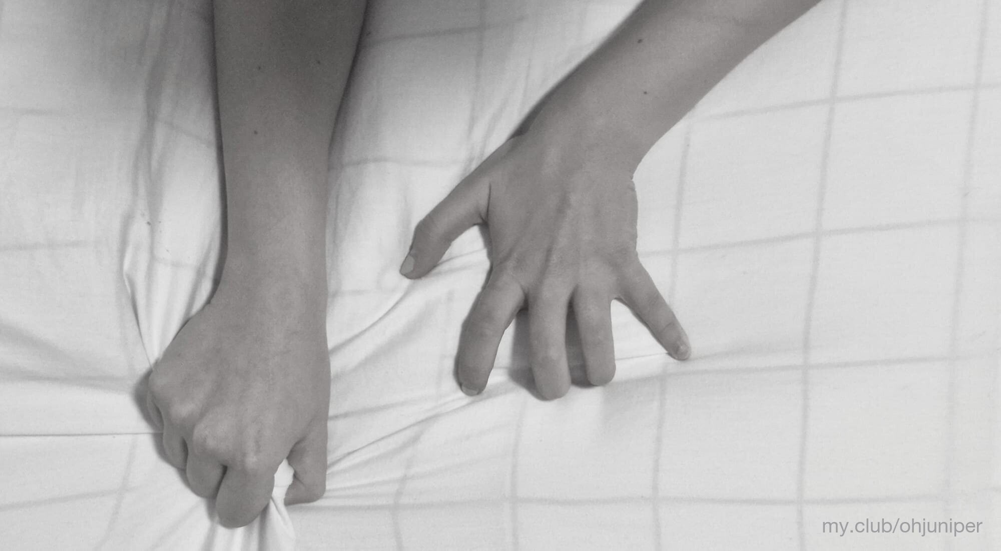 ohjuniper Free Photos