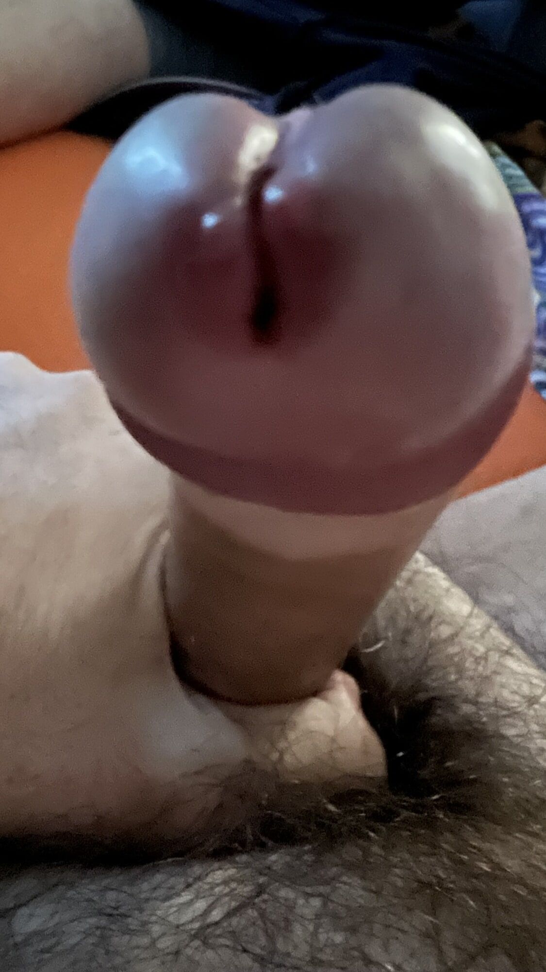 Cock #7