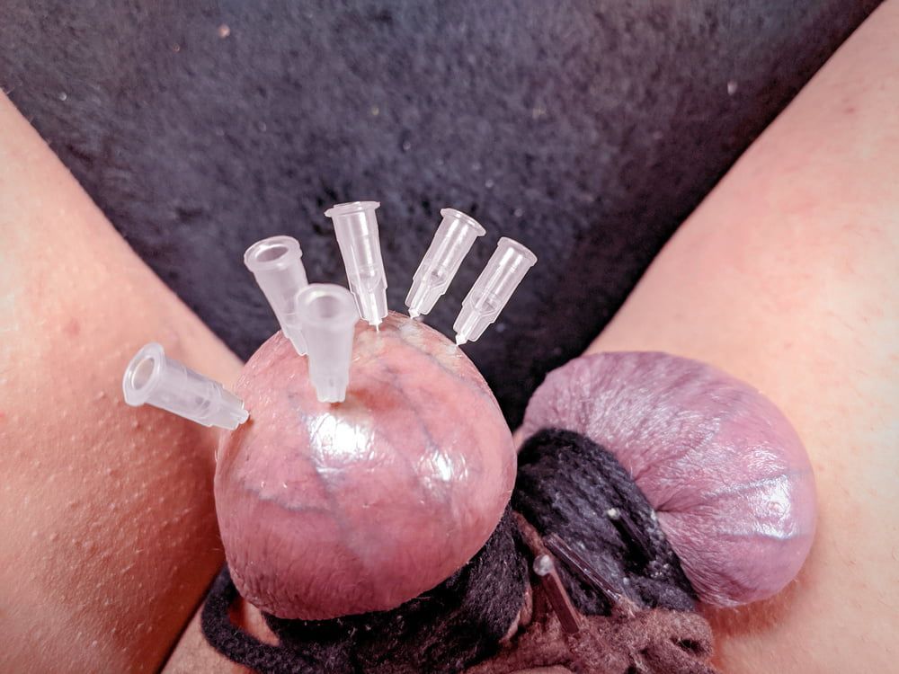 Testicle Skewering Needles in Balls CBT Session #12