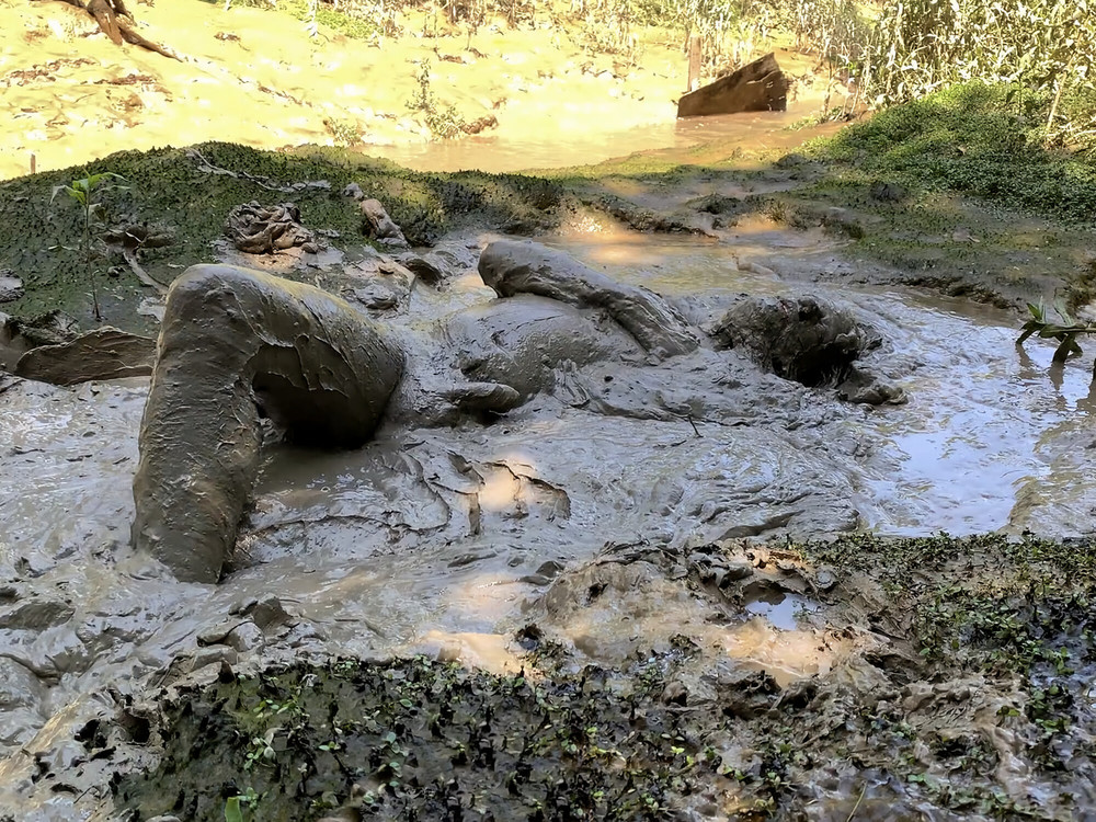 SHOT : MUD SUBMISSION #13