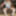 Amateur Crossdresser Kellycd2022 sexy school girl #14