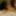 Wild Amazon Monika Fox Under Palms