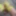 Panty bulging in Yellow Lingerie with Lucy EssexCD