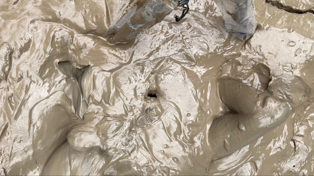 SHOT - MUD TONGUE  #17