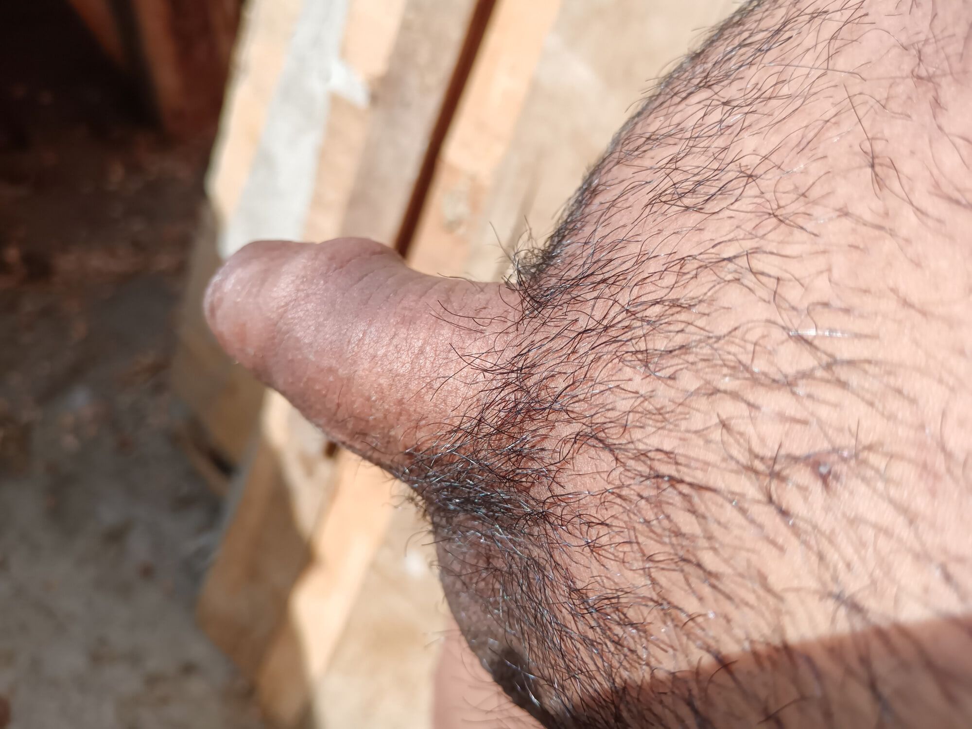 My Rich Dick without Erection and without hair removal - 02 #17