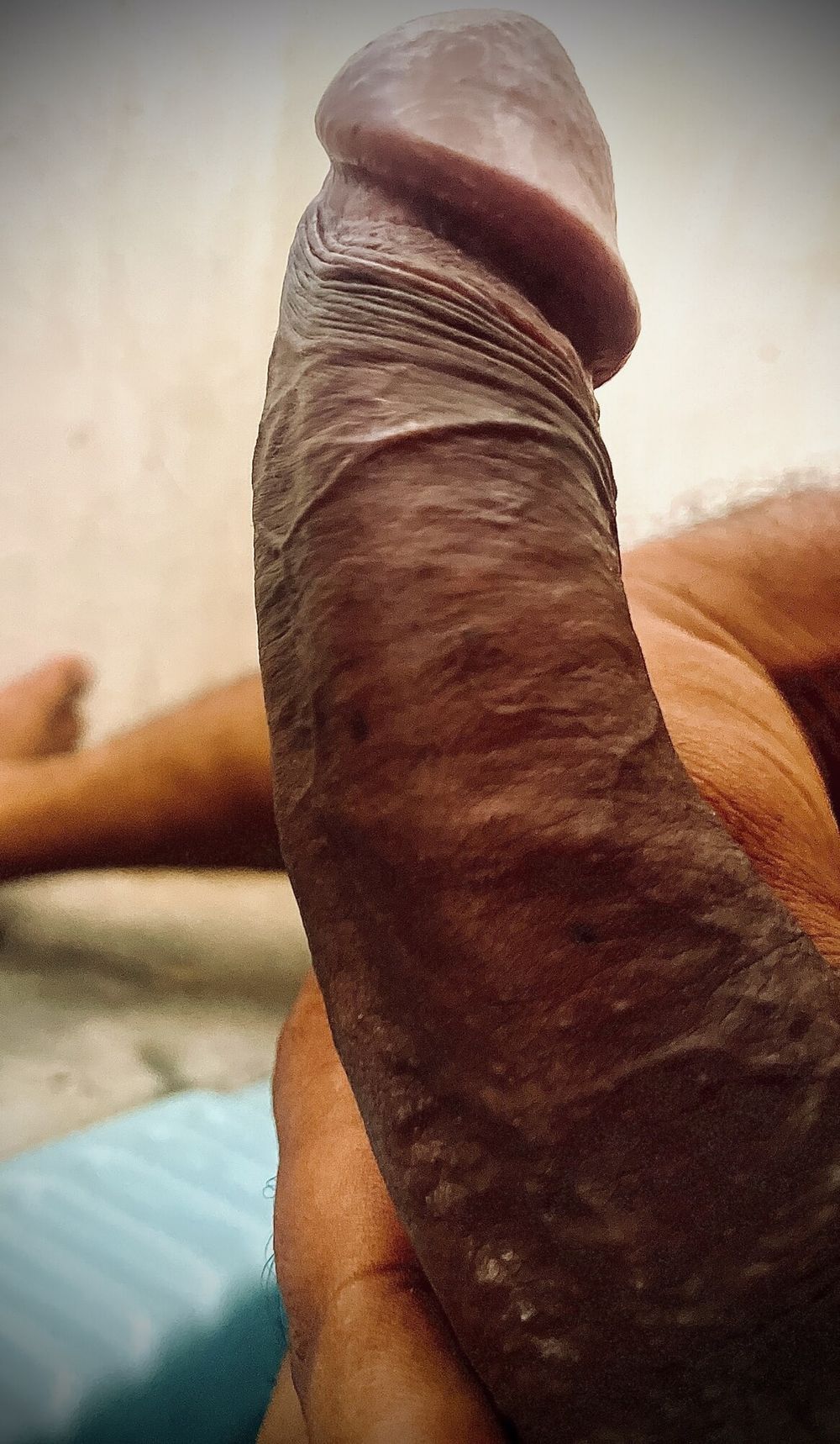 Desi dick