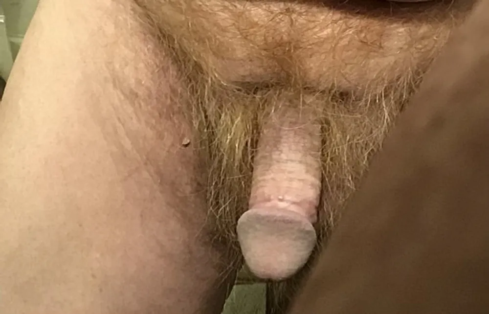 More Dick #2