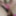 Young Chubby Girl Spreads Hairy Pussy Open on Webcam #4