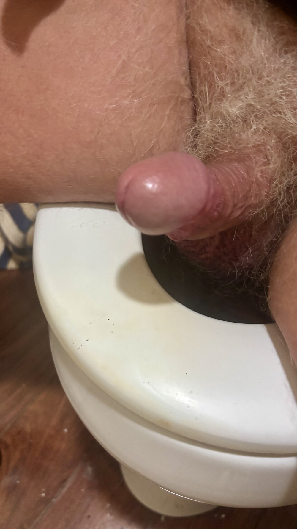 NOVEMBER PICTURES  #17