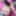 the best one yet thgeres a vvid to this will ba done soon #52