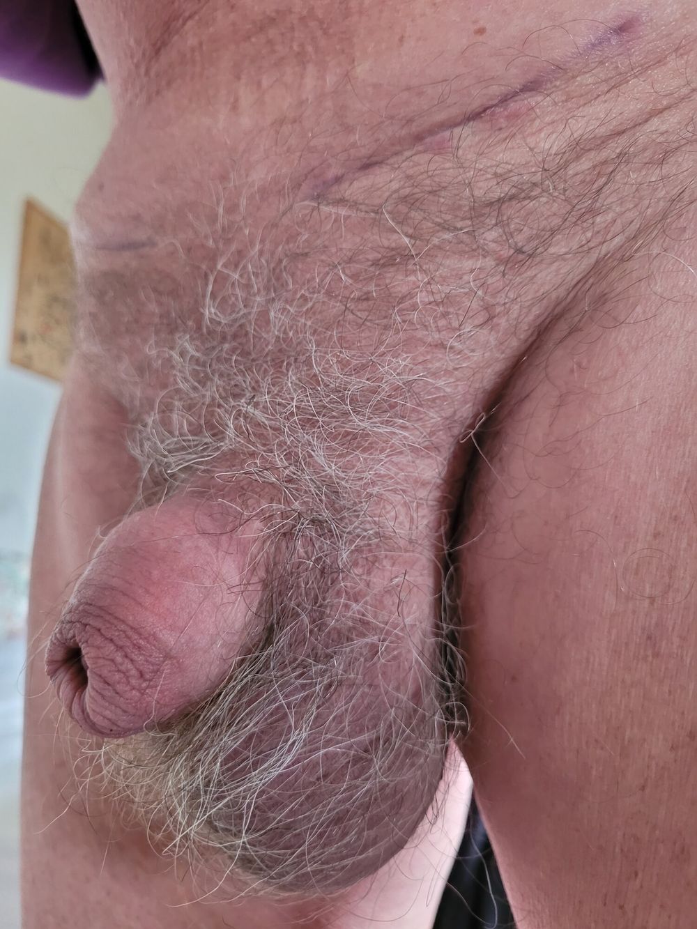 Soft, medium, hard cock #36