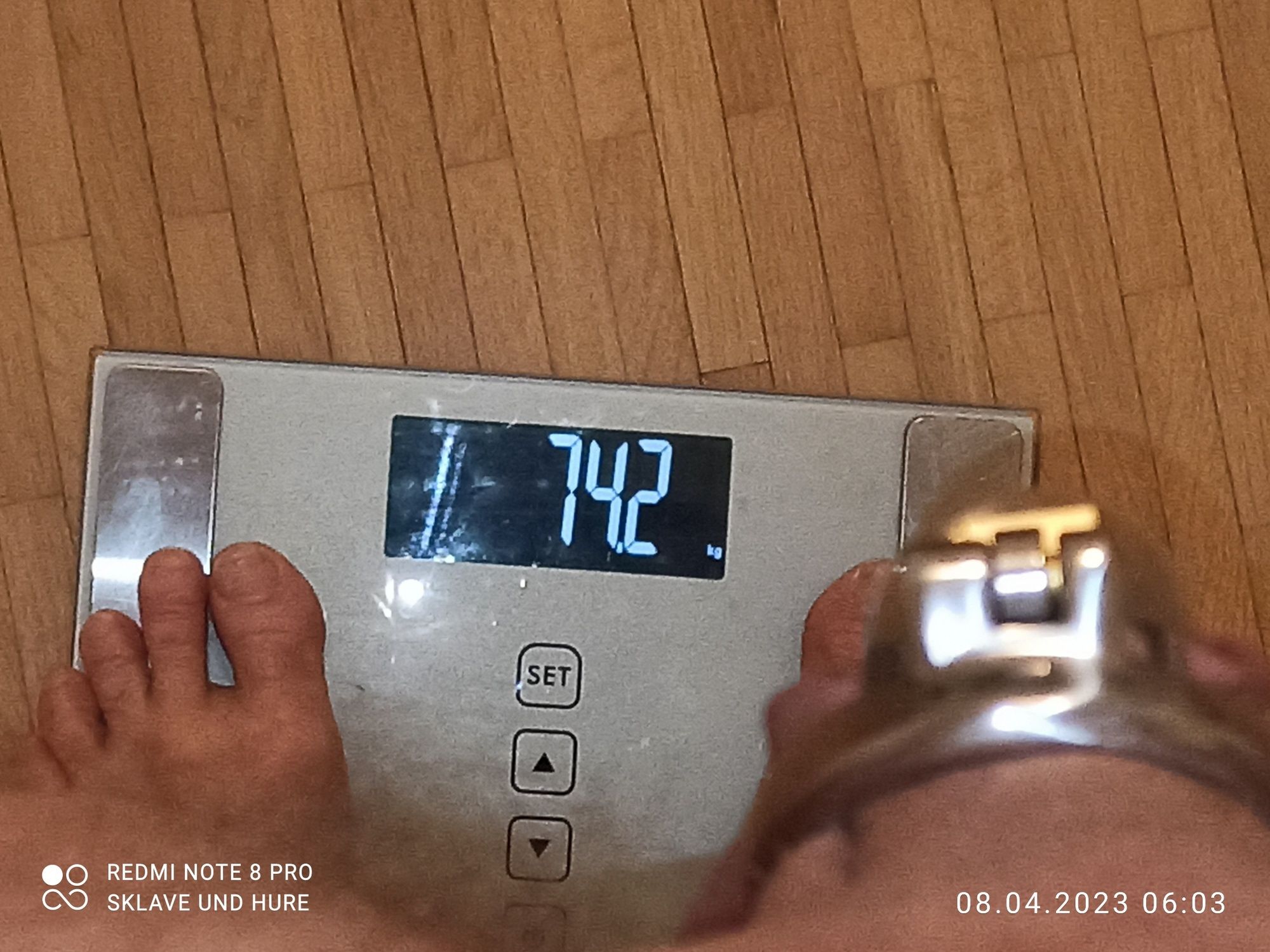 mandatory weighing and cagecheck of 8/4/23 #13