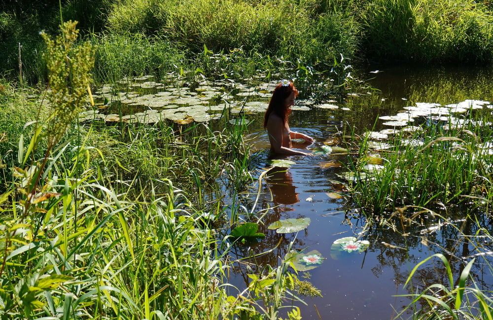in a weedy pond #4