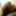 StouteDaphne big ass white &#039;girl&#039; horny fuckhole #3
