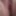 My pussy pics