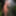 Photo shooting with cum slut Dany Sun in the garden - part 2 #24
